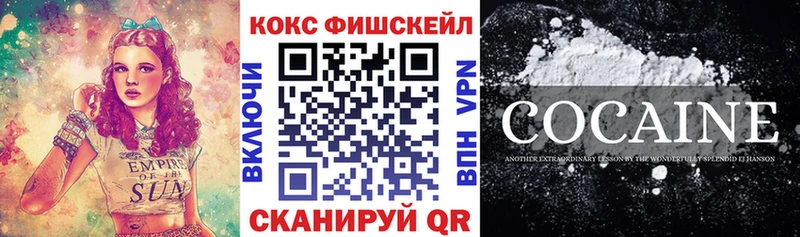купить наркоту  KRAKEN маркетплейс  COCAIN VHQ  Болотное 