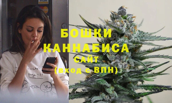 мет Дубна