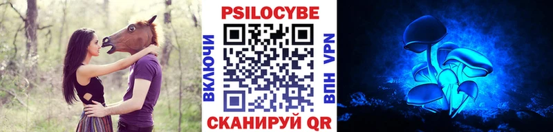 Галлюциногенные грибы Psilocybine cubensis  где можно купить наркотик  Болотное 